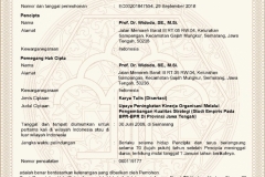 HAKI_Widodo